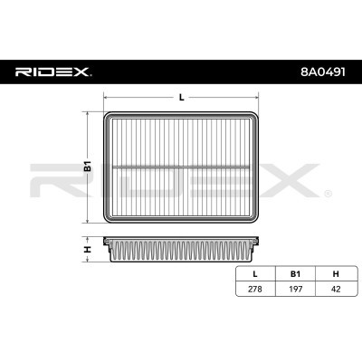 Filtr Powietrza RIDEX 8A0491 8A0491 - foto 4
