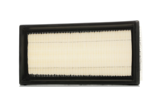 Filtr Powietrza RIDEX 8A0360 8A0360 - foto 1