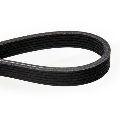 Pasek Klinowy Wielorowkowy RIDEX 305P0222 305P0222 - foto 5