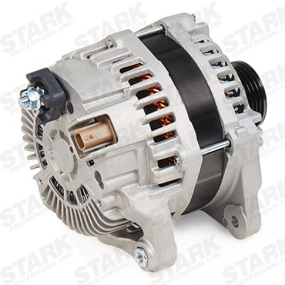 Alternator Stark SKGN-0320990 SKGN-0320990 - foto 4