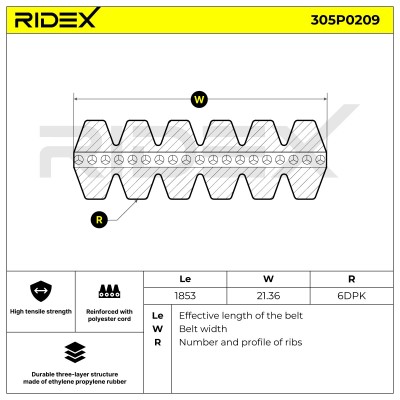 Pasek Klinowy Wielorowkowy RIDEX 305P0209 305P0209 - foto 5