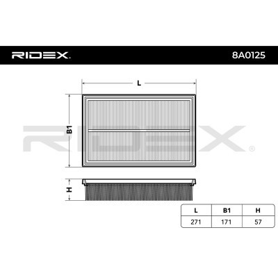 Filtr Powietrza RIDEX 8A0125 8A0125 - foto 3