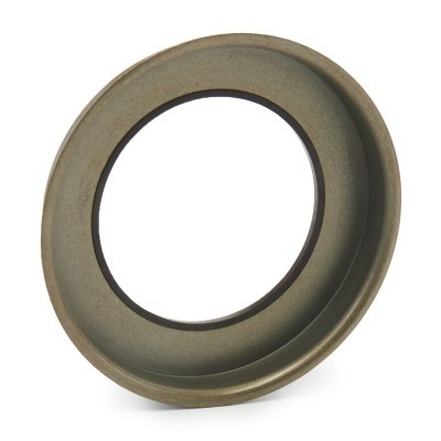 Pierścień ABS RIDEX 2254S0008 2254S0008 - foto 3