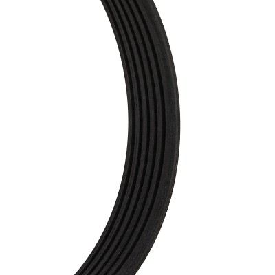 Pasek Klinowy Wielorowkowy RIDEX 305P0206 305P0206 - foto 5