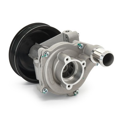 Pompa Wody RIDEX 1260W0315 1260W0315 - foto 5
