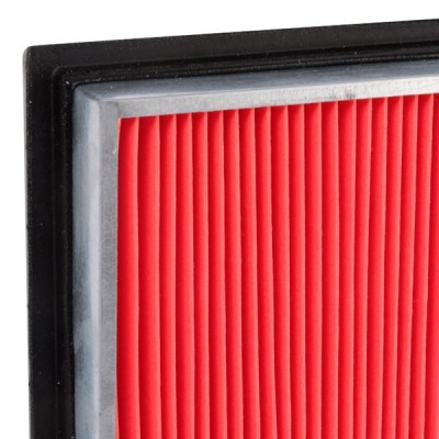 Filtr Powietrza RIDEX 8A0129 8A0129 - foto 5