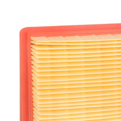 Filtr Powietrza RIDEX 8A0079 8A0079 - foto 6