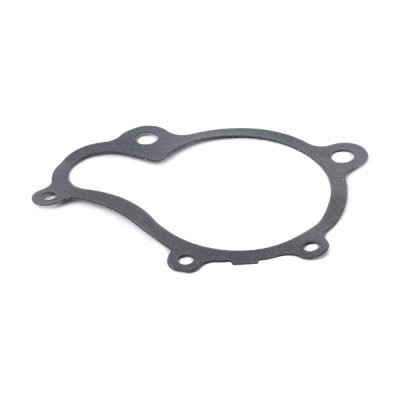Pompa Wody RIDEX 1260W0100 1260W0100 - foto 6