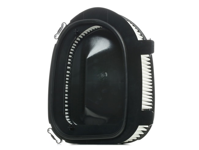 Filtr Powietrza RIDEX 8A0276 8A0276 - foto 1