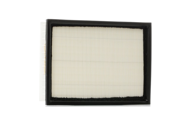 Filtr Powietrza RIDEX 8A0324 8A0324 - foto 1