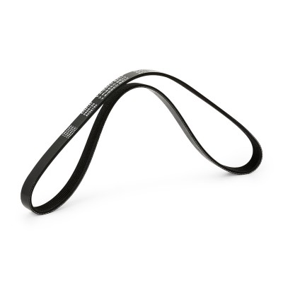 Pasek Klinowy Wielorowkowy RIDEX 305P0183 305P0183 - foto 4