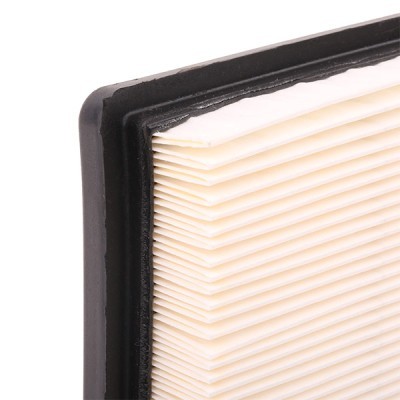 Filtr Powietrza RIDEX 8A0286 8A0286 - foto 6