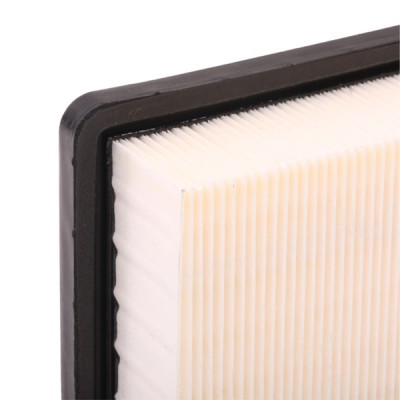 Filtr Powietrza RIDEX 8A0313 8A0313 - foto 6