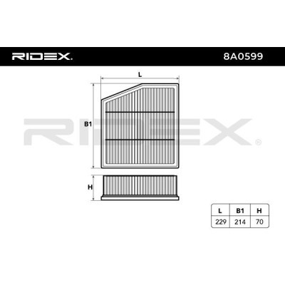 Filtr Powietrza RIDEX 8A0599 8A0599 - foto 6