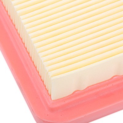 Filtr Powietrza RIDEX 8A0794 8A0794 - foto 5
