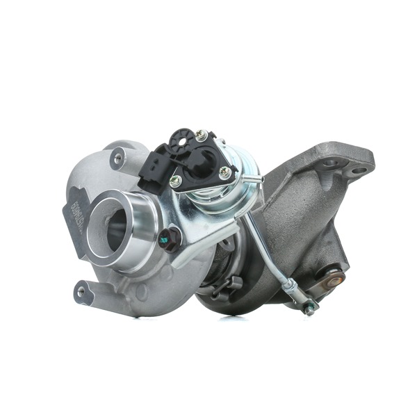 Turbina (Turbosprężarka) RIDEX 2234C10087 2234C10087 - foto 1