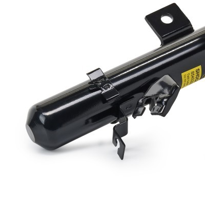 Amortyzator RIDEX 854S2201P 854S2201P - foto 5