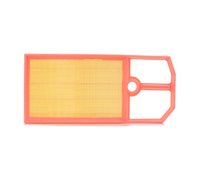 Filtr Powietrza RIDEX 8A0241 8A0241 - foto 1