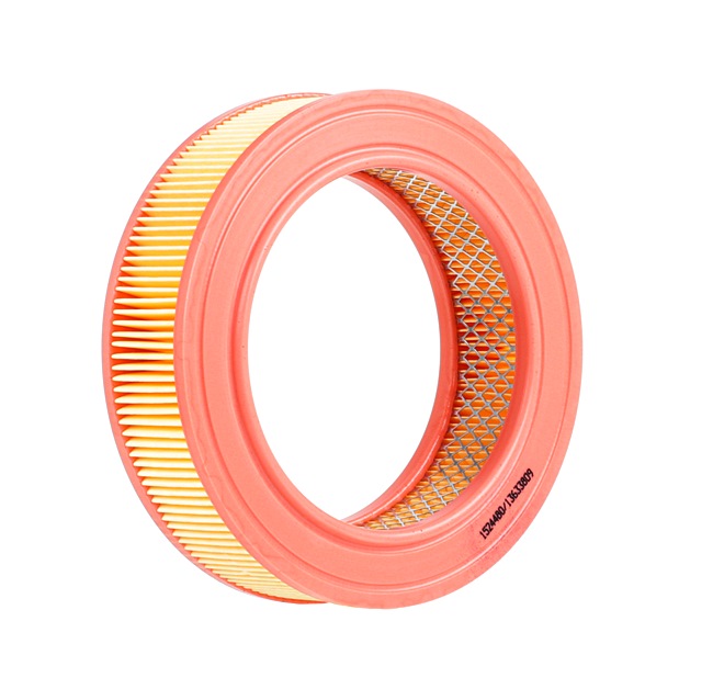 Filtr Powietrza RIDEX 8A0618 8A0618 - foto 1