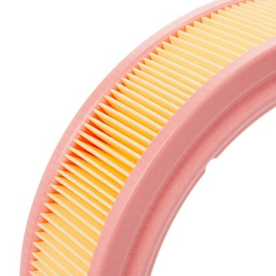 Filtr Powietrza RIDEX 8A0509 8A0509 - foto 4