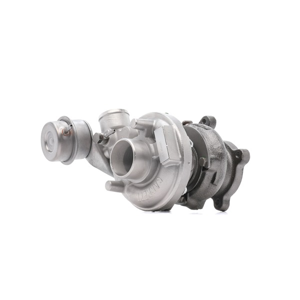 Turbina (Turbosprężarka) RIDEX 2234C10798R 2234C10798R - foto 1
