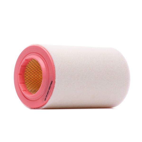 Filtr Powietrza RIDEX 8A1641P 8A1641P - foto 1