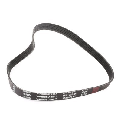 Pasek Klinowy RIDEX 305P0176P 305P0176P - foto 3