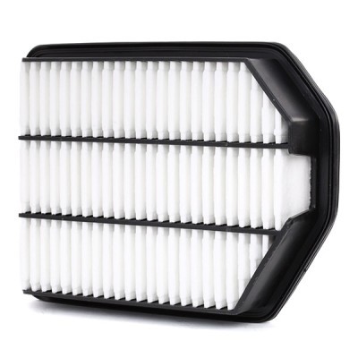 Filtr Powietrza RIDEX 8A0355 8A0355 - foto 3