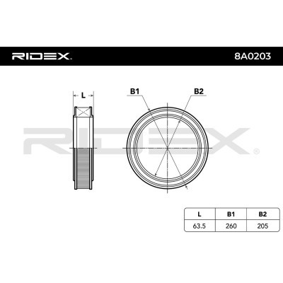 Filtr Powietrza RIDEX 8A0203 8A0203 - foto 6