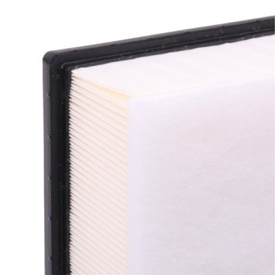 Filtr Powietrza RIDEX 8A0401 8A0401 - foto 6