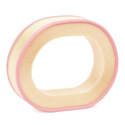 Filtr Powietrza RIDEX 8A0368 8A0368 - foto 3