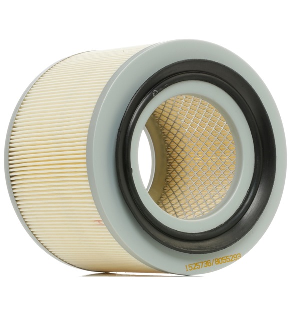 Filtr Powietrza RIDEX 8A0307 8A0307 - foto 1