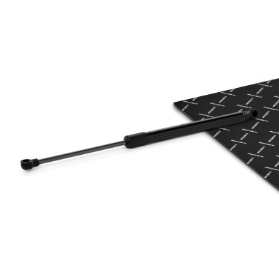 Amortyzator Pokrywy Bagażnika RIDEX 219G1169 219G1169 - foto 1