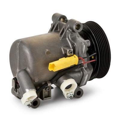 Sprężarka Klimatyzacji 447K1074R - foto 4