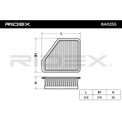 Filtr Powietrza RIDEX 8A0255 8A0255 - foto 5