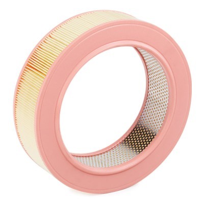 Filtr Powietrza RIDEX 8A0425 8A0425 - foto 4