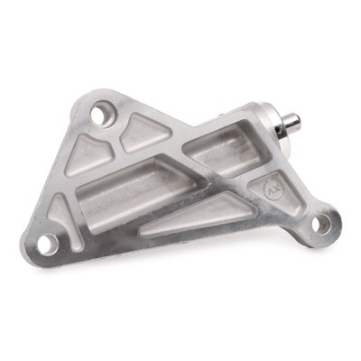 Napinacz Paska Rozrządu RIDEX 308T0112 308T0112 - foto 4