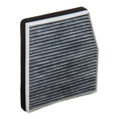 Filtr Kabinowy RIDEX 424I0198 424I0198 - foto 5