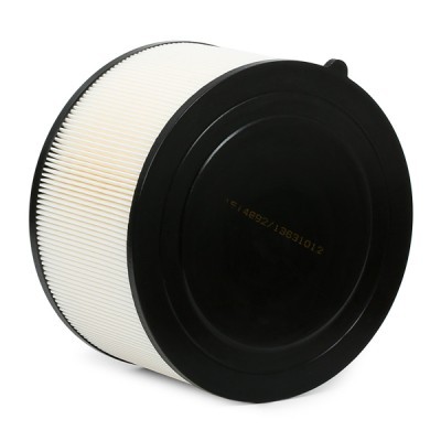 Filtr Powietrza RIDEX 8A0589 8A0589 - foto 4