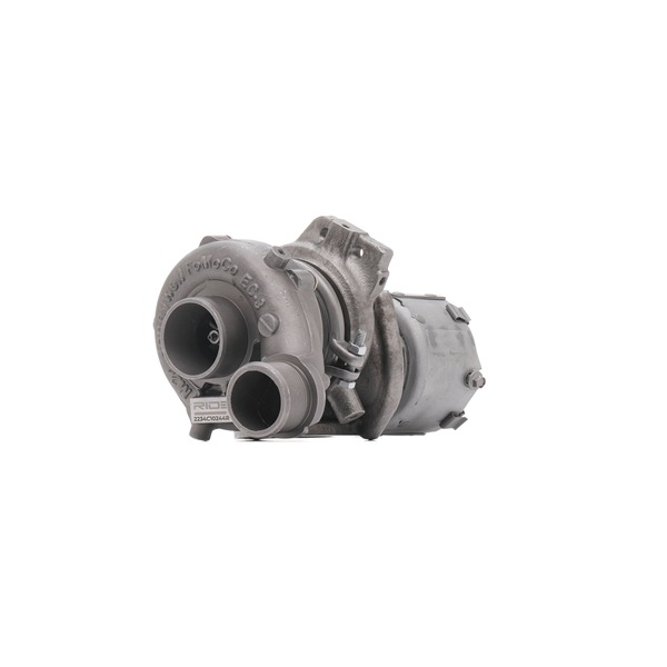 Turbina (Turbosprężarka) RIDEX 2234C10244R 2234C10244R - foto 1