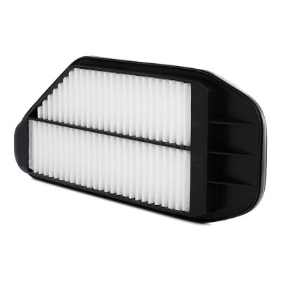 Filtr Powietrza RIDEX 8A0295 8A0295 - foto 4