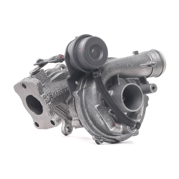 Turbina (Turbosprężarka) RIDEX 2234C10206R 2234C10206R - foto 1