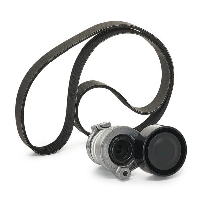 Zestaw paska klinowego wielorowkowego RIDEX 542R0108P 542R0108P - foto 10