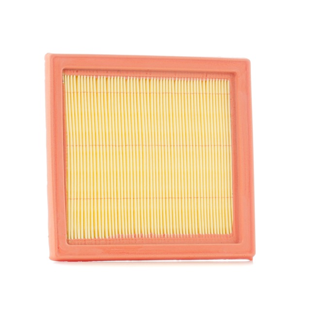 Filtr Powietrza RIDEX 8A0049 8A0049 - foto 1