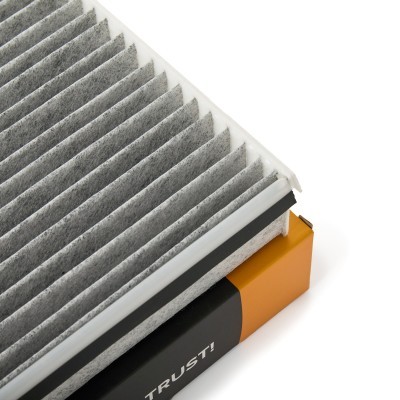 Filtr Kabinowy RIDEX 424I0856 424I0856 - foto 4