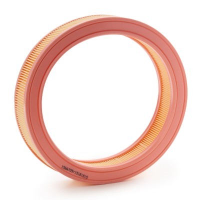 Filtr Powietrza RIDEX 8A0972 8A0972 - foto 3