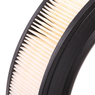 Filtr Powietrza RIDEX 8A0203 8A0203 - foto 5