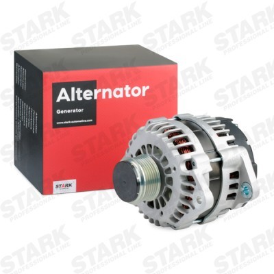 Alternator Stark SKGN-0320317 SKGN-0320317 - foto 2