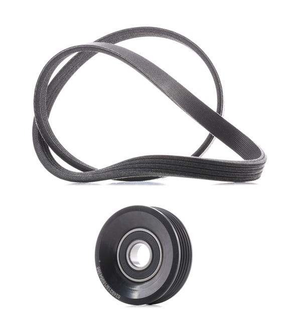 Zestaw paska klinowego wielorowkowego RIDEX 542R0437P 542R0437P - foto 1