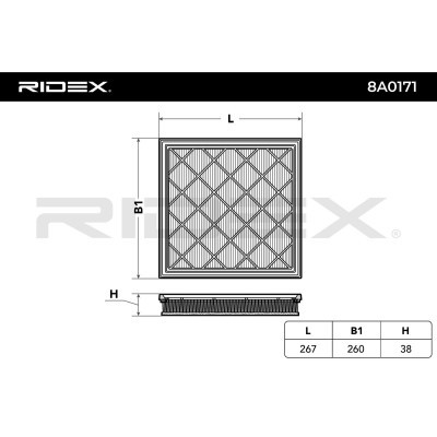 Filtr Powietrza RIDEX 8A0171 8A0171 - foto 6
